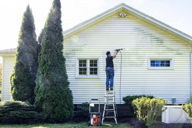 Best Roof Pressure Washing  in Polson, MT